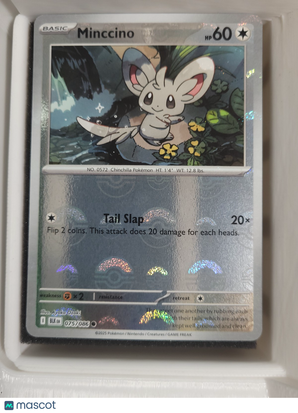 Pokémon TCG Minccino Poke Ball Holo 075/086  Black Bolt