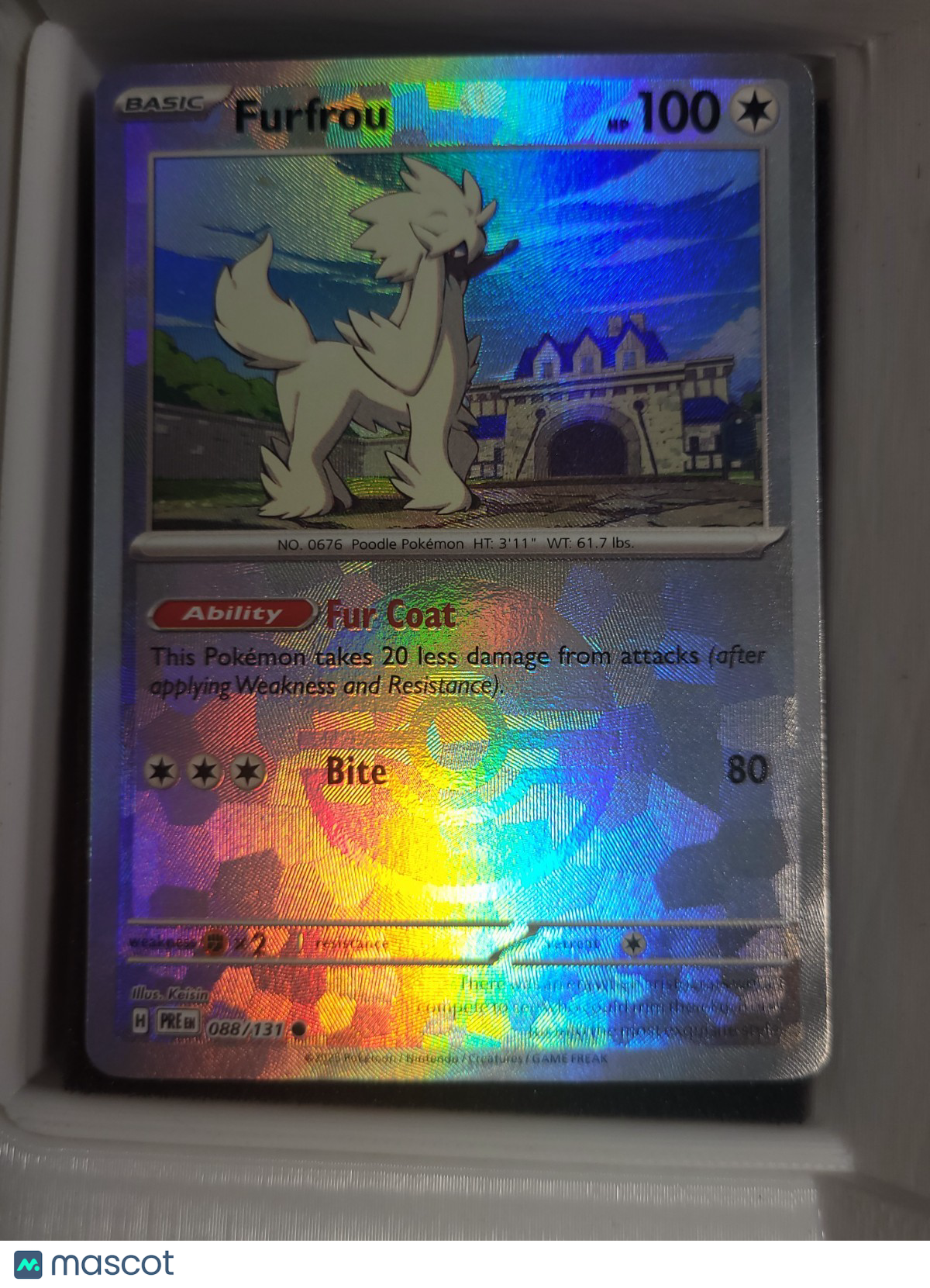 Pokémon TCG Furfrou 088/131 Pokeball Holo